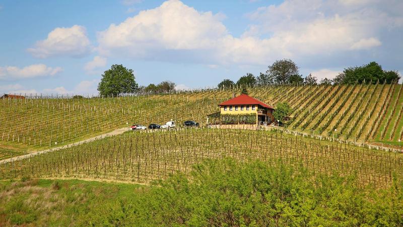 Wine Paradise photo 4