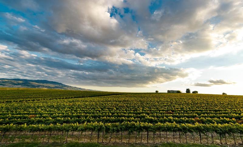 Wine Relais In Montecucco photo 5