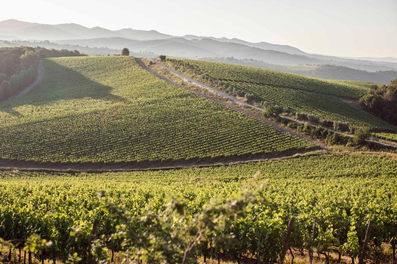 Hotel for Adults only - Wine Resort Dievole