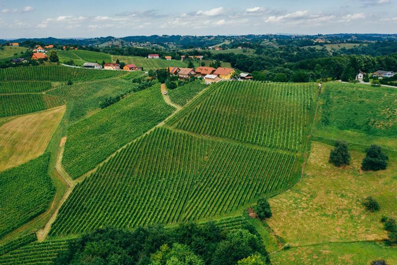 Wine hotel - Wine & Tourism Bračko