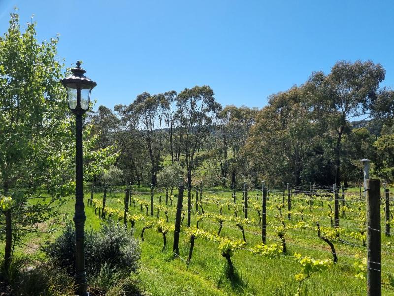 Wine hotel - Winemakers Cottage at Treetops Red Hill