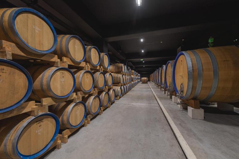 Winery Hotel - Winery & Design hotel ROXANICH