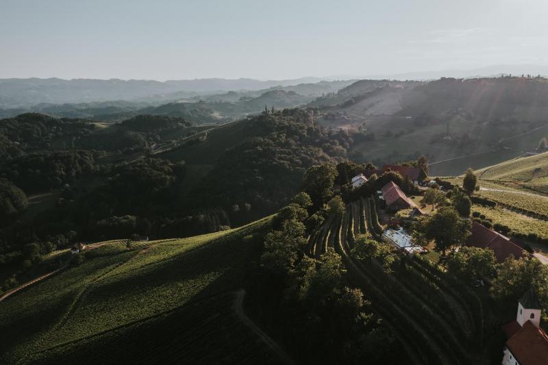 Winzarei, Weingut Tement