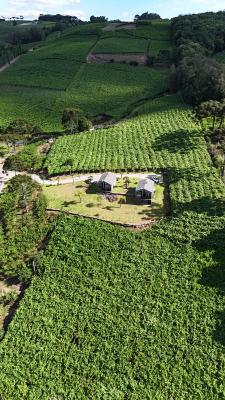 Best winery hotels in Vale dos Vinhedos