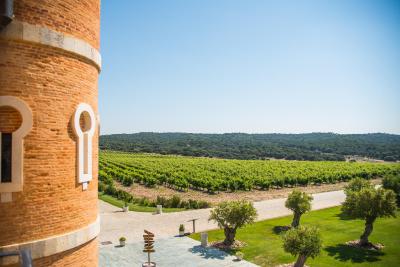 Wine hotels in Castile and Leon