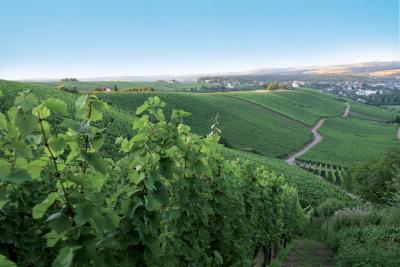 Best winery Hotel in Remich