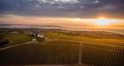 Wine hotels in Oltenia