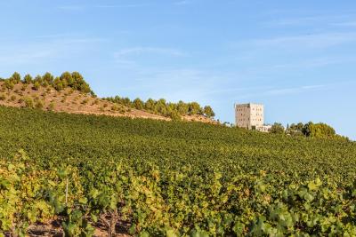 Best winery hotels in Rioja