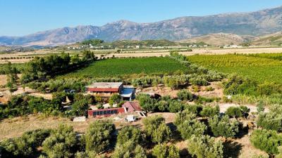 Best winery hotels in Tirana