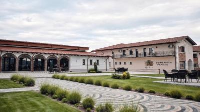 Wine hotels in Panciu