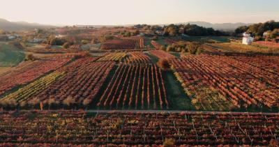 Best winery hotels in Kojsko