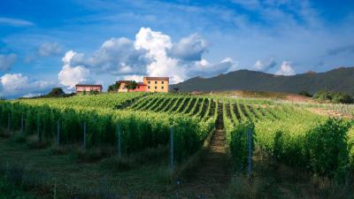 Best winery hotels in Piedmont