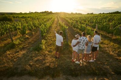 8 Best winery Hotels in Czech Republic