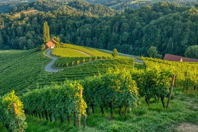 Best winery hotels in Kojsko