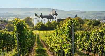 Best winery hotels in Bavaria