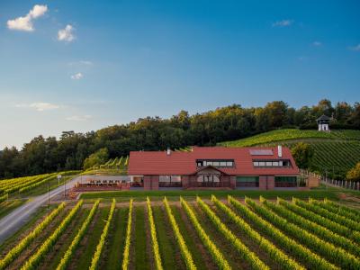 Best winery hotels in Istria