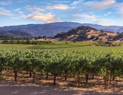 Best winery hotels in Sonoma