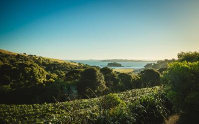 Best winery hotels in Otago